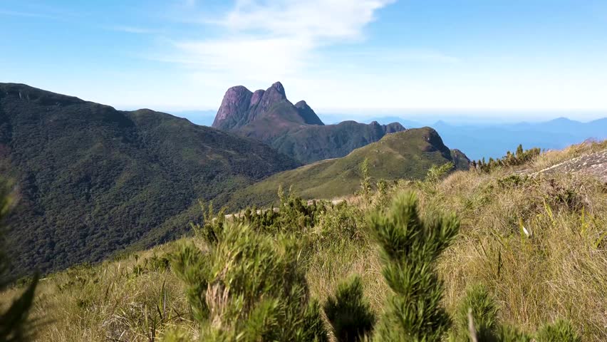 The majestic Pico Paraná stands tall amidst lush green vegetation, under a serene blue sky, offering a breathtaking panorama of pristine wilderness and rugged terrain.