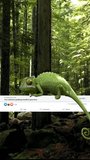 3d animation of acolor changing chameleon sitting on social media page. Vertical video.