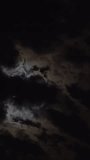 A time lapse close up of a half moon moving across the black dark night sky. Vertical video for social media.	
