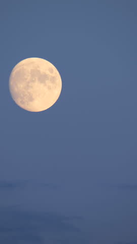 Rising Almost Full Moon in Blue Evening Sky Timelapse Vertical Video Royalty-Free Stock Footage #3445251327