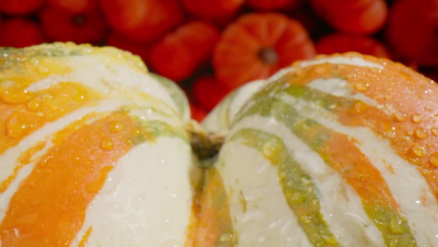 Macro view close up of orange gourd with camera moving in.