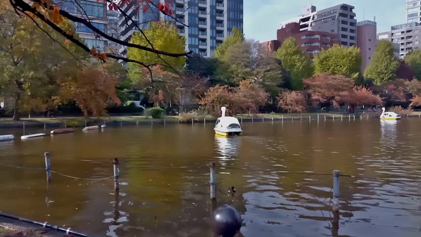 Scenic pond section at Ueno Park, officially "Ueno Imperial Gift Park," Japan's most popular city park. Located in Asakusa, Tokyo, the park is especially famed for its springtime cherry blossoms. Royalty-Free Stock Footage #3445344367