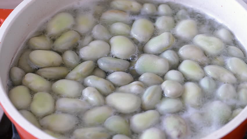 Cooking fava beans in water with salt. Fava beans also caled broad beans