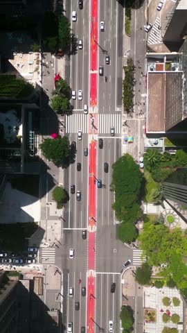 Top Down View of famous avenue in Brazil. Paulista Avenue. Transportation Scene. Aerial View of Traffic and Pedestrian on Crosswalk. Aerial Landscape of São Paulo - Vertical shot
