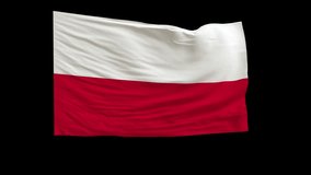 4K Highly Detailed Flag of Poland - Loopable with Luma Transparency