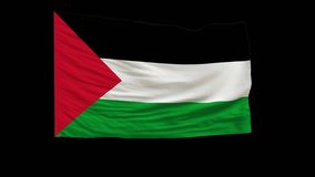 4K Highly Detailed Flag of Palestine - Loopable with Luma Transparency