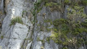 Aerial video of Rocas de Suesca tourist area for climbing enthusiasts. Colombia
