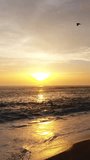 Vertical Video of Amazing Beach Sunset