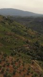 Vertical Video of Stunning Nature Landscape in Douro Wine Region. Portugal Aerial View