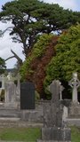 Stone tombstones and Celtic crosses in the Catholic cemetery. Overcast cloudy sky over a Christian cemetery in Ireland. Vertical video.