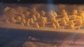 mini cream puffs cook, swelling, on the oven tray. High quality 4k footage