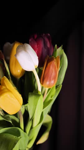 A florist creates a bouquet of spring flowers, colorful tulips with water droplets turn close-up. green, red, orange, white. A gift for Women's Day, March 8, Mother's Day, birthday. Vertical, isolated Royalty-Free Stock Footage #3445711515