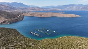 Aerial drone video of self feeding fish farming unit of sea bass and sea bream with round net cages in Anemokambi bay area near Galaxidi, Greece