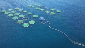 Aerial drone video of latest technology large fish farming unit of sea bass and sea bream in growing cages in calm deep waters