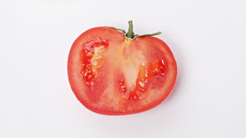 Rotting and moldy tomato slice. Growing mold on surface of rotten tomato. Rotting tomato at white background. Timelapse of growing mold on rotten tomato. Close-up in 4K, UHD Royalty-Free Stock Footage #3445999449