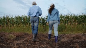 agriculture, farmers handshake field, business corn farm, farmer working tablet with partner, business handshake, crop - plant, cheerful, peasant, season, row, owner, harvesting, farmer hands, ripe - Powered by Shutterstock - Get 15% off with code: PIKWIZARD15