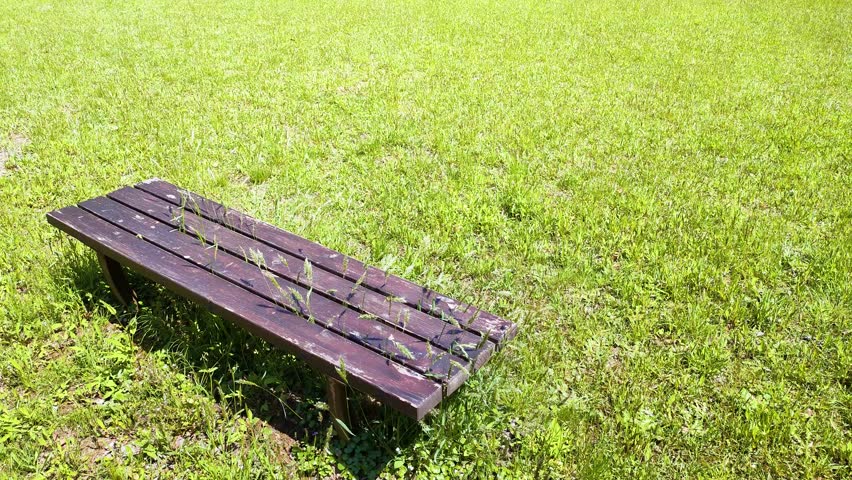 Deserted park bench with grass Royalty-Free Stock Footage #3446059965