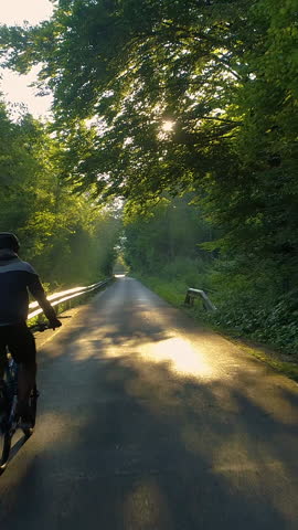 SUN FLARE, DRONE: Flying behind unrecognizable man riding his bicycle at sunrise along empty road leading through the beautiful sunlit forest. Athletic male enjoying a relaxing bike ride at sunset.
