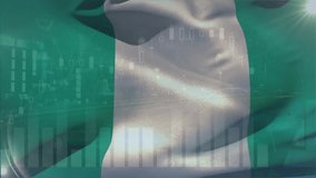 Animation of financial data processing over flag of nigeria. Global finance, business, connections, computing and data processing concept digitally generated video. - Powered by Shutterstock - Get 15% off with code: PIKWIZARD15