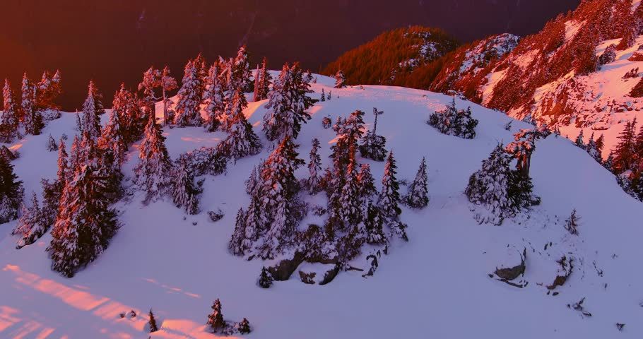 Snowy Trees and Mountain Scene, Pink Sunset. Colorful Winter Landscape. Aerial Cinematic. British Columbia, Canada.