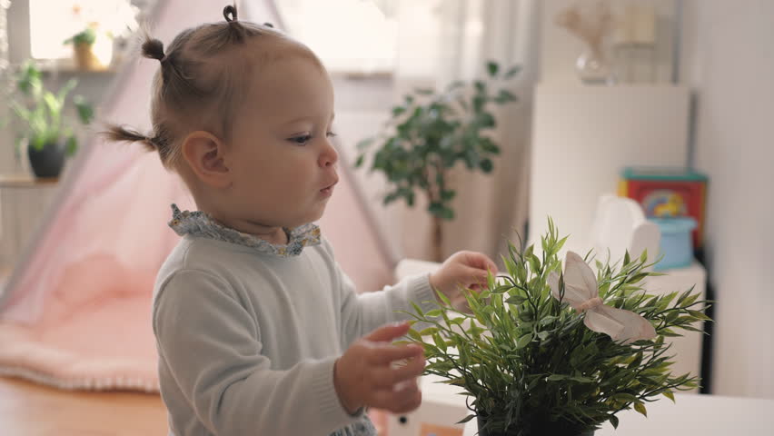 A cute little girl takes an artificial butterfly from a green plant in a pot. An interested child. Knowledge of the world. In the background is a window, a children