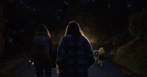 Two young women with dog walk along forest road into the car headlights. Female travelers in their journey. Moody and cinematic atmosphere. Danger or rescue in the middle of the night. の動画素材