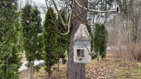 Scenic shot of a little beautiful wicker birdhouse on the park. Bird seed house hanging in the tree and moving in the wind. Wicker feeder