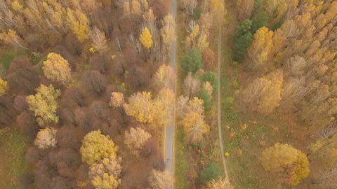 Church Autumn Forest