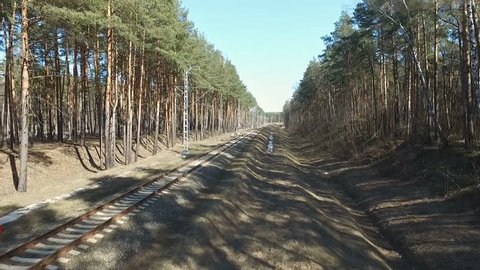 Riding Train Spring Forest
