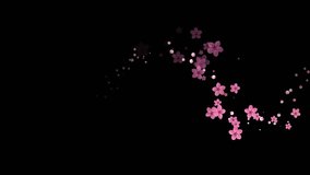 Small pink flying cherry blossom flowers and petals, spring particles trail animation, text reveal, isolated on black background. - Powered by Shutterstock - Get 15% off with code: PIKWIZARD15