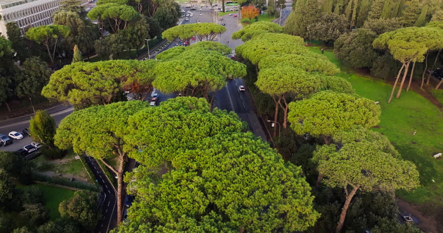 Aerial view of the urban landscape of Rome, Italy. Cars and buses drive along the historic streets of the cityscape of traffic on the roads. High quality 4k footage