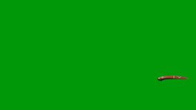 Snake top Resolution video green screen 4k, Easy editable green screen video, high quality vector 3D illustration. Top choice green screen background