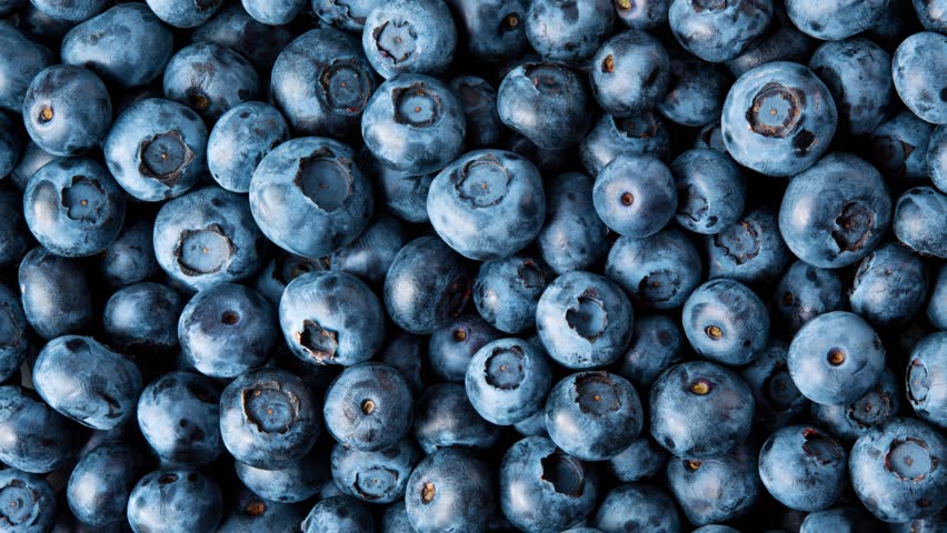 Blueberry top view 4K video. Fresh organic blueberries macro. Blueberry background Royalty-Free Stock Footage #3446628081