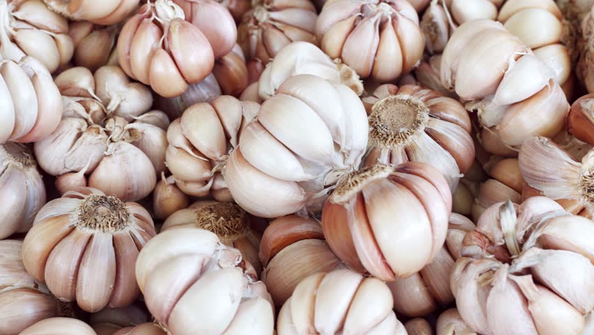 Garlic top view 4K video. Garlic texture. Organic vegetable texture. Garlic bulbs full frame. Organic garlic top view. Royalty-Free Stock Footage #3446628091