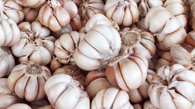 Garlic top view 4K video. Garlic texture. Organic vegetable texture. Garlic bulbs full frame. Organic garlic top view.