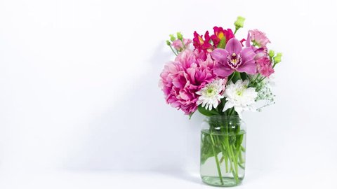 Beautiful bouquet of natural fresh flowers appears in a glass jar. White background. Greeting card for birthday, mother's day, women's day or other occasion. Stop motion animation. Copy space. 库存视频