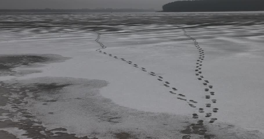 frozen lake in winter in cloudy weather, ice on the lake during frosts