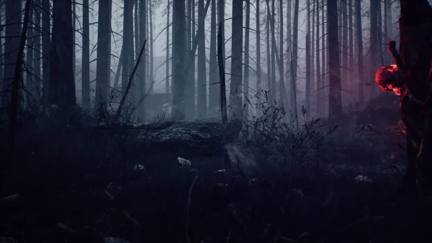 3D, CGI, Forest, Fire, Woods, Apocalypse, Dark, Smoke, Flames, Animation, Exterior, Abstract, 4K, Nature, Environment, Disaster, Burning, Inferno, Destruction, Catastrophe, Atmospheric, Surreal,  Royalty-Free Stock Footage #3446815883