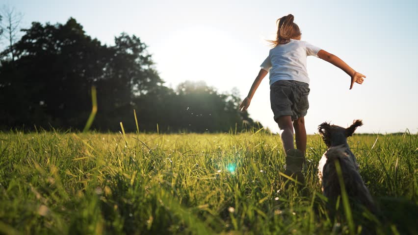 Happy baby girl with dog in park. child with pet run through grass in meadow at sunset. Happy girl with dog run and play in park on grass.Freedom in nature in summer.Dog pet plays with child in nature Royalty-Free Stock Footage #3446898083