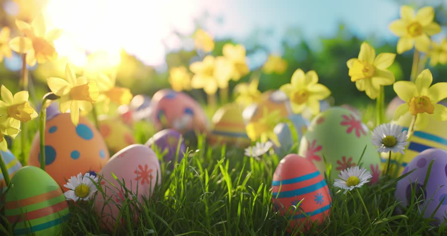 Easter eggs and daffodil flower on meadow Royalty-Free Stock Footage #3446957605