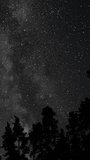 Time lapse of The Milky Way galaxy moves above the silhouettes of trees. Starry night background. Epic video, vertical footage