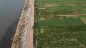 4k video footage drone shot of vegetable farm lands by Mekong river in Thailand.