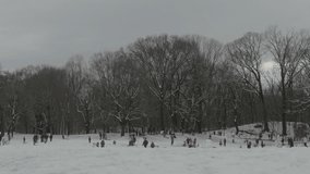 Wide angle shot of kids sledding on a snow day in Prospect Park, Brooklyn.