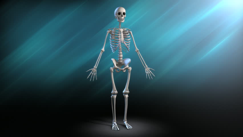 Human Skeleton Rotation Full Rotations Stock Footage Video (100%