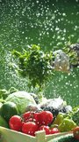 fresh farm vegetables vertical video, slow motion. tomatoes, cabbage, bell peppers, cucumbers, coriander leaves. farmers market outdoor 