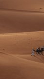 Camel caravan going through the sand dunes in the Sahara desert, Morocco. Vertical video