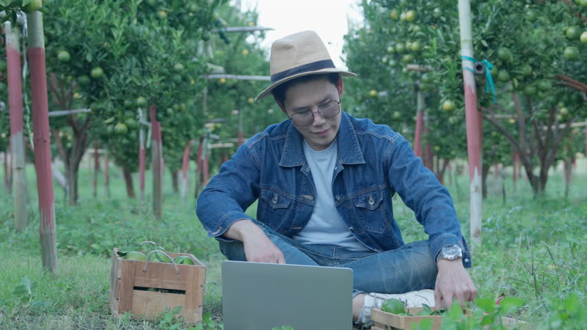 Asian handsome young man farmer orange, The gardeners are checking oranges in farm agriculture area in chiang mai pha daeng Thailand, orange garden.