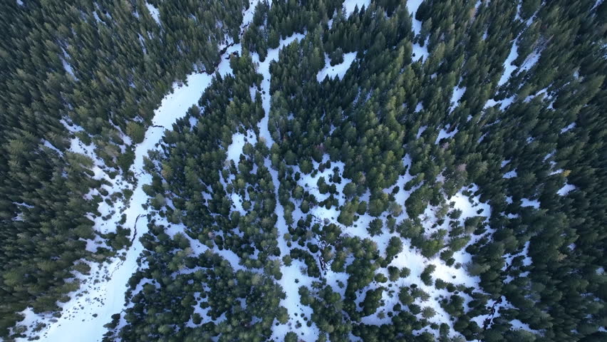 Dawn illuminates Mount St. Helens, not far from both Seattle and Portland, as it rises from the forested landscape in Washington. This active and scenic stratovolcano last erupted on May 18, 1980.