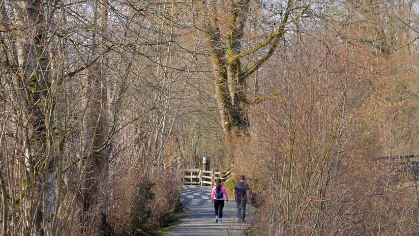 Establishing shot of trail in park in slow motion at in Vancouver, Canada, North America. Day time on Sep 2023. Still camera. ProRes 422 HQ.