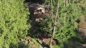 Small rustic countryside house hides between evergreen trees in lighted by golden sunshine. Mountain forest at blue river with Log cabin on sunny day. Two cabins in magical Washington at forest river - Powered by Shutterstock - Get 15% off with code: PIKWIZARD15